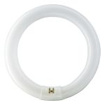 Osram T9 Lumilux Circline 32W - 840 kald hvit | 30cm