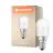 Ledvance Special LED E14 Lysrør one-handed matt 2.3W 200lm - 865 daglys | erstatter 20W