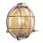 Nordlux Polperro Veggbelysning Glass Sateng Nikkel | 195mm - IP64 - Egnet for E27