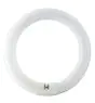 Osram T9 Lumilux Circline 32W - 840 kald hvit | 30cm