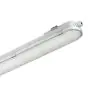 Philips LED Lyslister Vanntett CoreLine WT120C G2 61W 8000lm - 840 Kald Hvit | 150cm - Dali Dimbar 