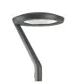 Philips LED-gatelykt CitySoul Gen2 Lyre BPP532 46W 4920lm 50D - 830 varm hvit | IP66 - Dali dimbar
