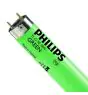 Philips MASTER TL-D 18W - Grønn | 60cm