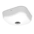 Ansell LED Nødlys Falcon Rømningsvei offentlig område Hvit 3W 153lm 135x17D and 43D - 865 daglys | IP65 - Nødlys 3 timer - Selv test