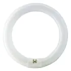 Osram T9 Lumilux Circline 32W - 840 kald hvit | 30cm