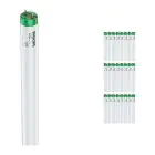 Fordelspakning 25x Philips MASTER TL-D Actinic BL 18W - Ultrafiolett | 60cm