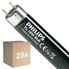 Fordelspakning 25x Philips MASTER TL-D 18W - Blacklight Blå | 60cm