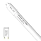 Noxion LED Lysrør T8 Avant (EM/Mains) Standard Output 15W 1800lm - 840 Kald Hvit | 120cm - Erstatter 36W